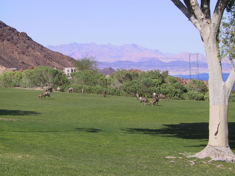 Railroad Pass Hotel And Casino Ramada By Wyndham Boulder City Eksteriør bilde